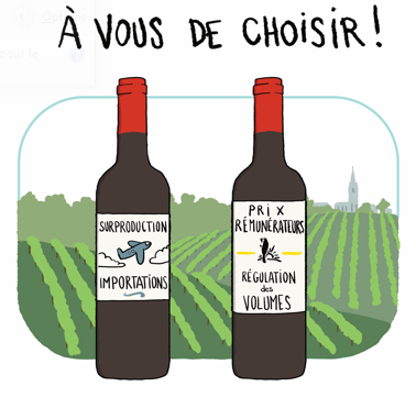 Viticulture - Crédits - Denys Moreau Viticulture - Crédits - Denys Moreau